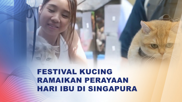 Unik, Hari Ibu di Singapura Dirayakan dengan Festival Kucing