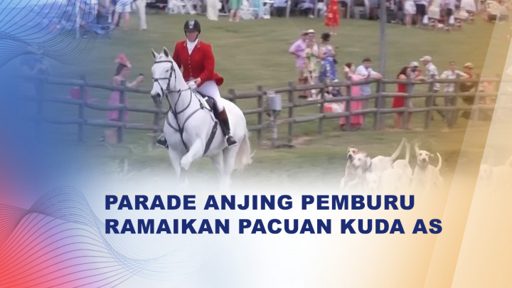 Parade Anjing Pemburu Ramaikan Pacuan Kuda