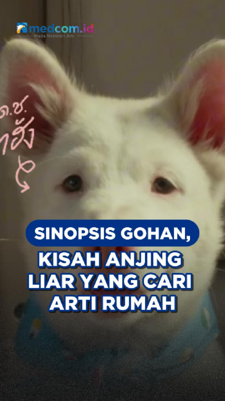 Sinopsis Gohan, Kisah Anjing Liar yang Cari Arti Rumah