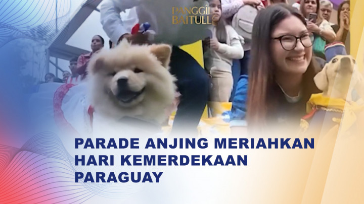 Meriah dan Menggemaskan, Parade Anjing Patriotik Warnai Hari Kemerdekaan Paraguay