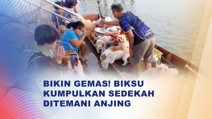 Belasan Anjing Temani Biksu Thailand Menyusuri Sungai Chao Phraya