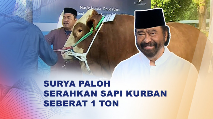 Surya Paloh Salurkan Hewan Kurban ke Masjid Nursiah Daud Paloh