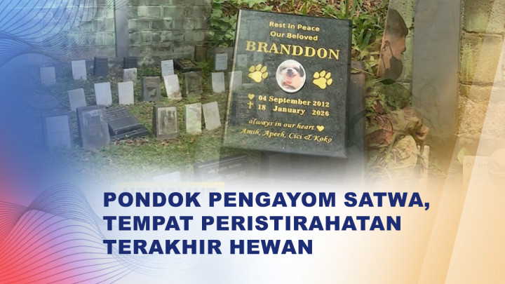 Melihat Pemakaman Khusus Hewan Peliharaan di Jakarta