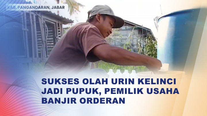 Pemuda Pangandaran Sulap Urin Kelinci Jadi Pupuk Organik Bernilai Jual