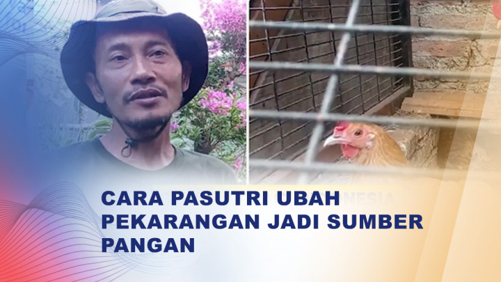 Dari Pekarangan Rumah, Pasutri di Klaten Bangun Ekosistem Pangan Mandiri