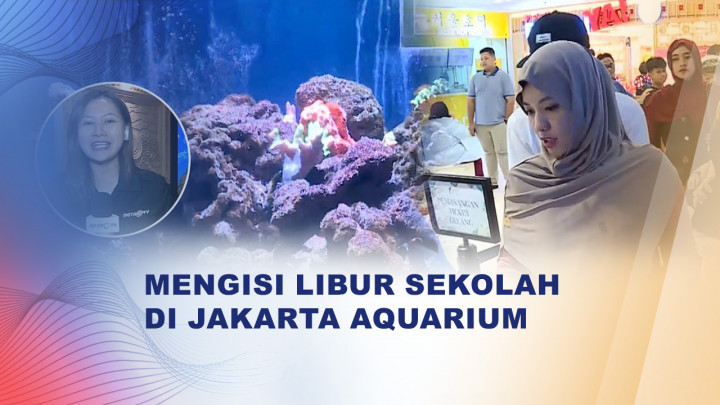 Libur Sekolah di Jakarta Aquarium, Wisata Edukatif dengan Satwa