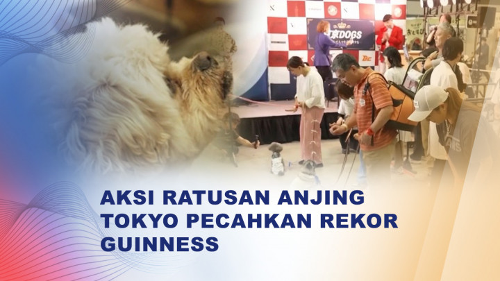 Aksi Gemas di Tokyo, Ratusan Anjing Berkompetisi Raih Rekor Guinness