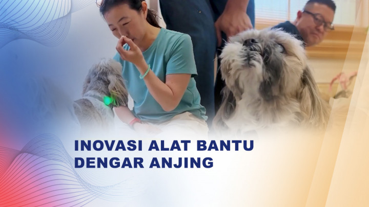 Jepang Ciptakan Kalung Getar untuk Anjing Lansia, Solusi Gangguan Pendengaran Hewan Peliharaan