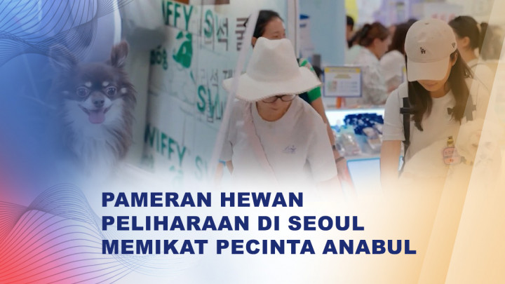 Lucu! Anjing dan Kucing Diajak Belanja di Pameran Pet Care Seoul