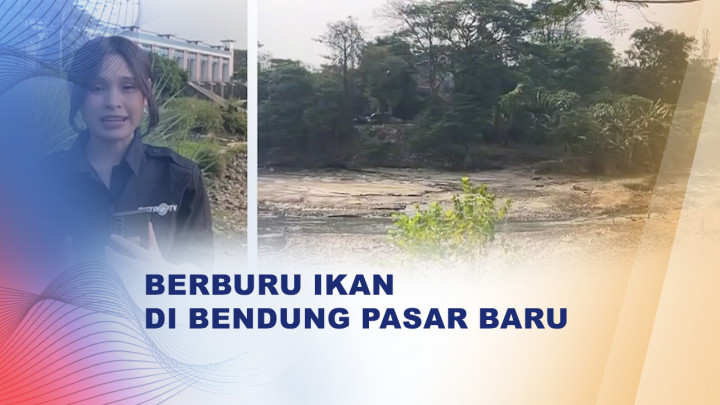 Air Surut, Ratusan Warga Serbu Bendung Pasar Baru untuk Berburu Ikan