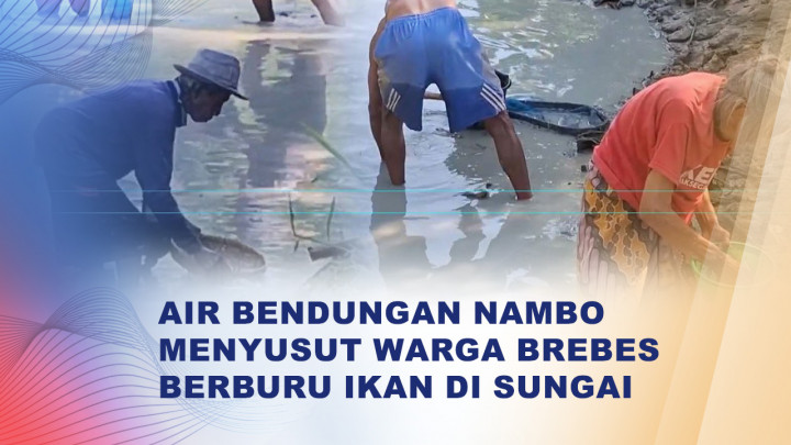 Debit Air Bendungan Nambo Menurun, Warga Manfaatkan Sungai Kering untuk Mencari Ikan
