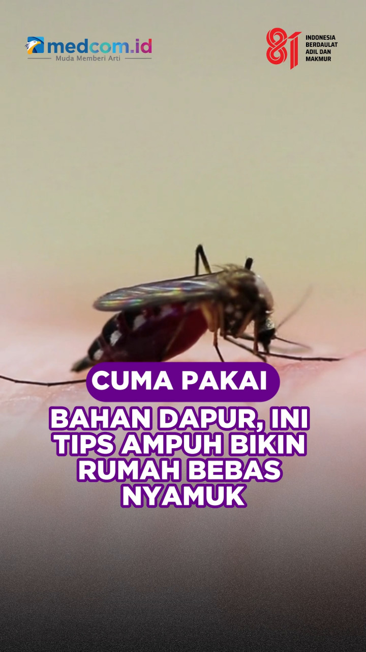 Cuma Pakai Bahan Dapur, Ini Tips Ampuh Bikin Rumah Bebas Nyamuk