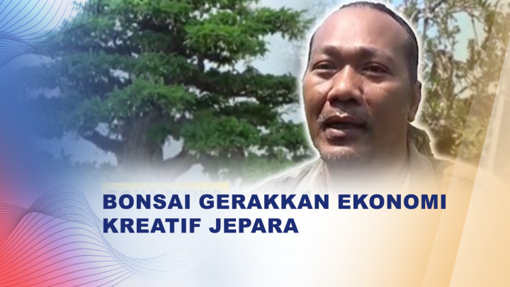 Intip Potensi Bisnis Bonsai Jepara, Bernilai hingga Ratusan Juta Rupiah