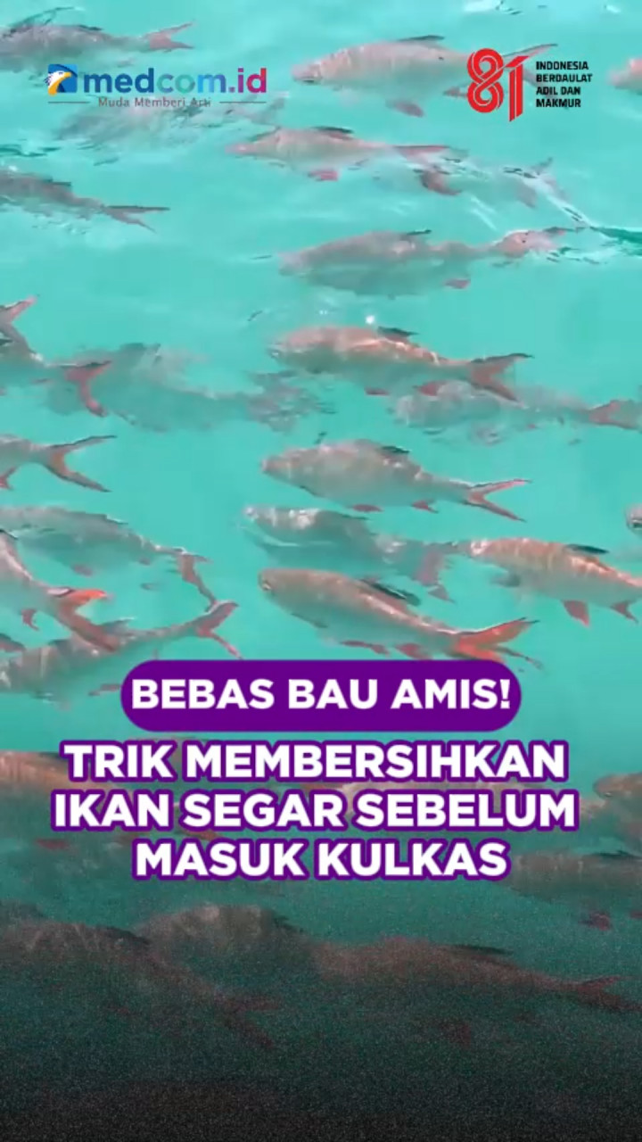 Bebas Bau Amis! Trik Membersihkan Ikan Segar Sebelum Masuk Kulkas