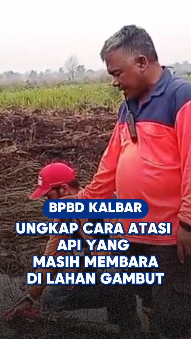 BPBD Kalbar Ungkap Cara Atasi Api yang Masih Membara di Lahan Gambut