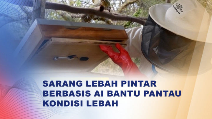 Canggih! Teknologi AI dan Sensor Pintar Bisa Pantau Kondisi Lebah dari Jarak Jauh