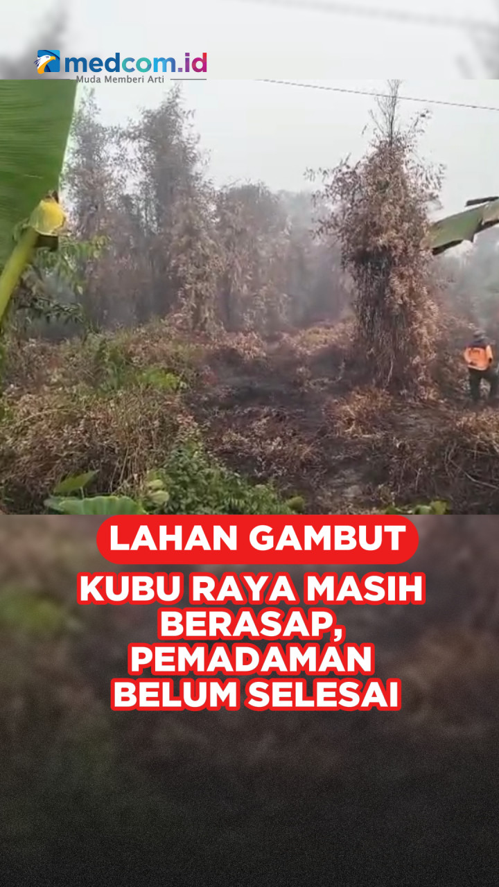 Lahan Gambut Kubu Raya Masih Berasap, Pemadaman Belum Selesai