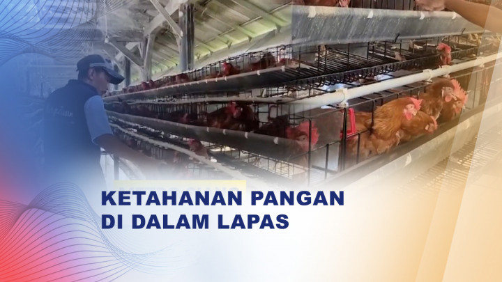 Dari Balik Jeruji, Warga Binaan Belajar Beternak Ayam Petelur