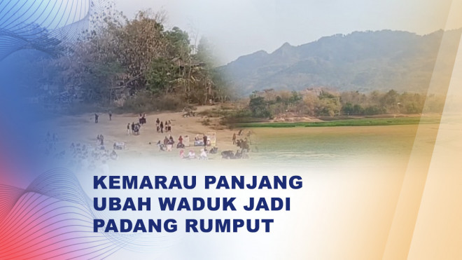 Waduk Mengering, Padang Rumput Terbentang di Musim Kemarau
