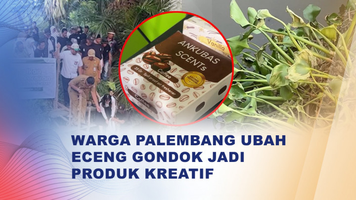 Kreatif! Warga Palembang Olah Eceng Gondok Jadi Pengharum Mobil