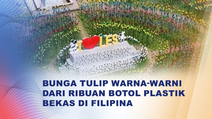Ribuan Botol Plastik Disulap Jadi Bunga Tulip Warna-warni di Filipina