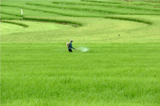 Menggenjot Produksi Pertanian Di Tengah Perubahan Iklim