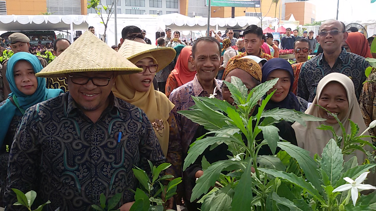 Upaya Pemerintah Menarik Pemuda ke Pertanian