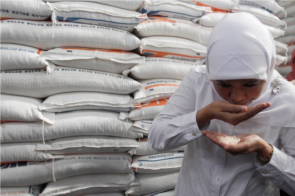 Bulog Targetkan Serapan Beras Lebih Baik Tahun Depan