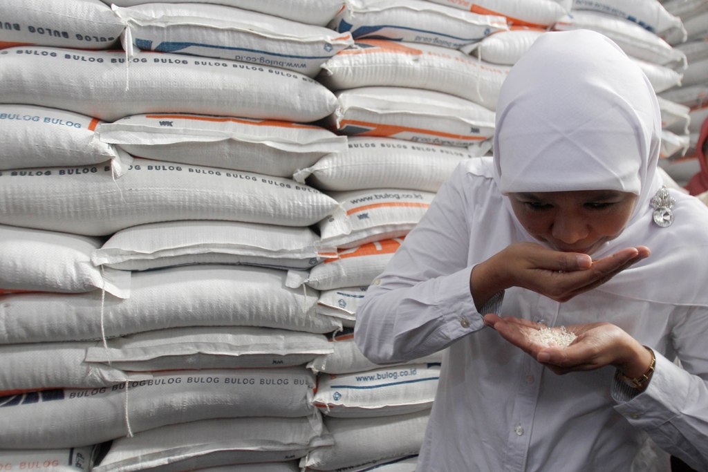 Pengamat Minta Pemerintah Pertimbangkan Impor Beras