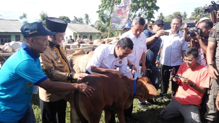 berita kementan