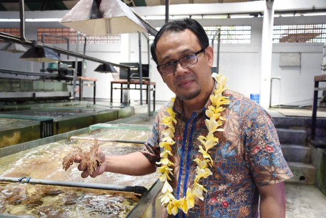 berita dpr