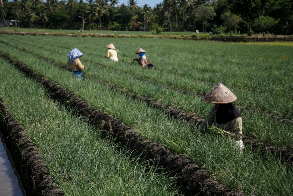 Nilai Tukar Petani Turun 0,32% di April