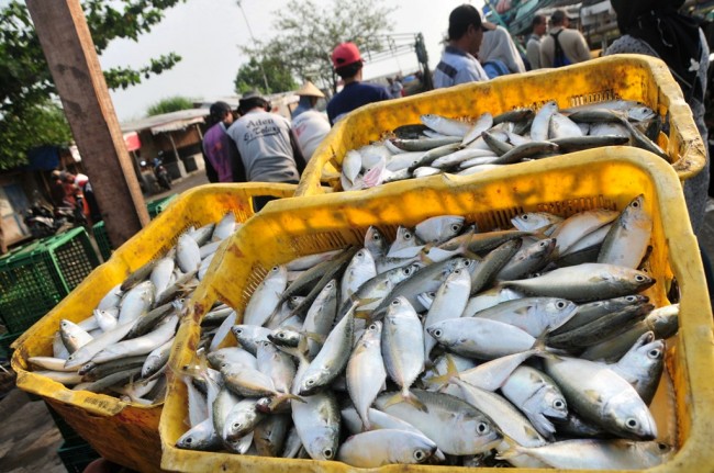 Sulsel Siap Penuhi Permintaan Ikan Pengusaha Prancis