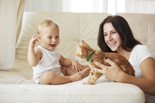 Aturan Memelihara Kucing Bagi Anda yang Memiliki Bayi