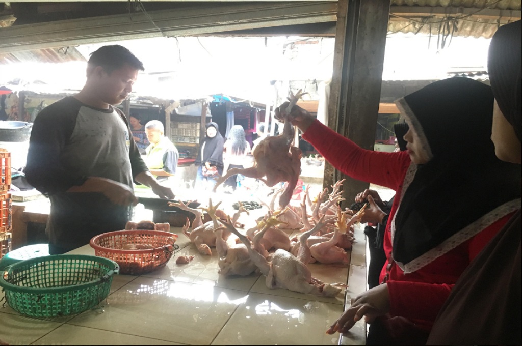 Meski Harga Naik, Ayam Potong Tetap Diincar Jelang Ramadan