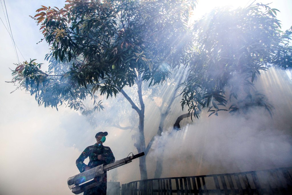 52 Warga Mukomuko Bengkulu Terjangkit DBD