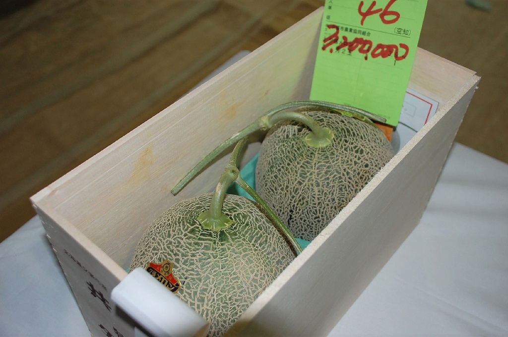 Melon Premium Jepang Terjual Lebih dari Rp400 Juta