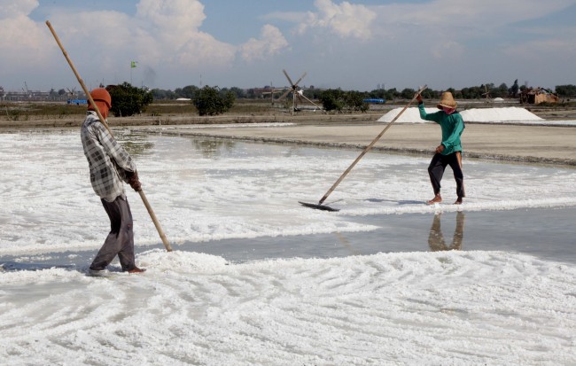 PT Garam dan BPPT Siap Kelola Lahan 225 Ha Garam