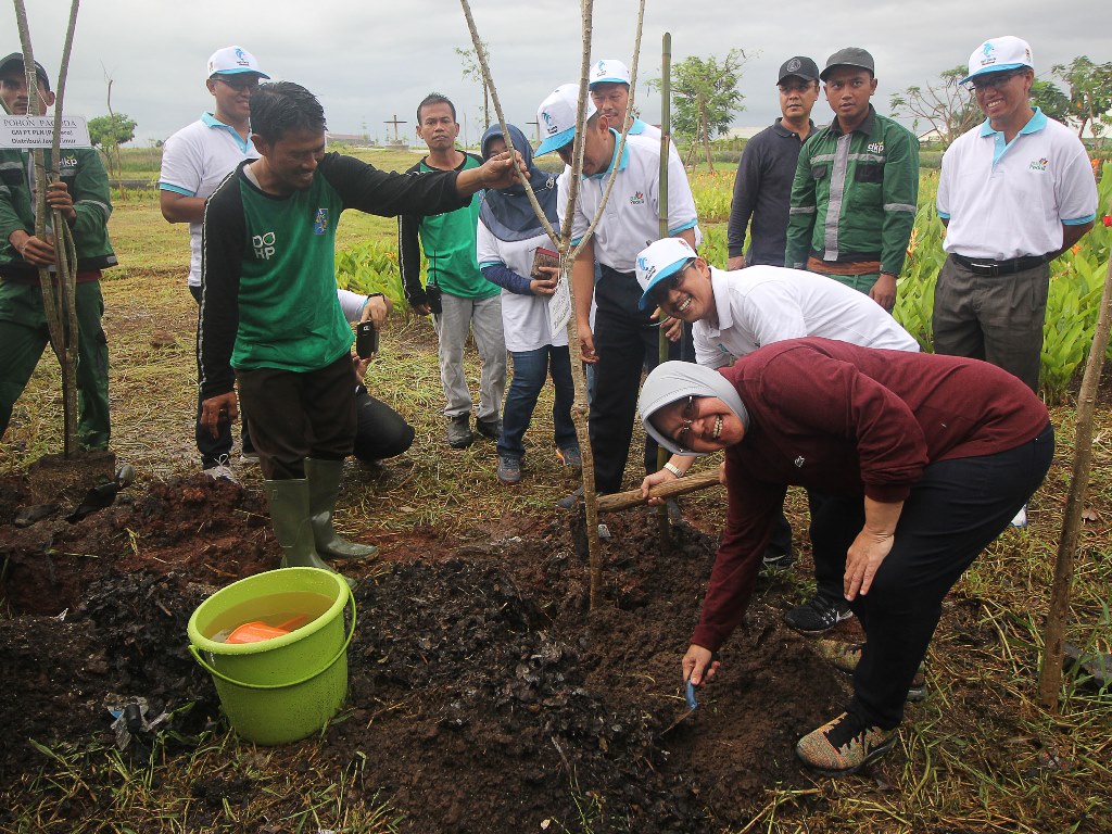 1.000 Pohon Ditanam Halau Cuaca Ekstrem di Maluku