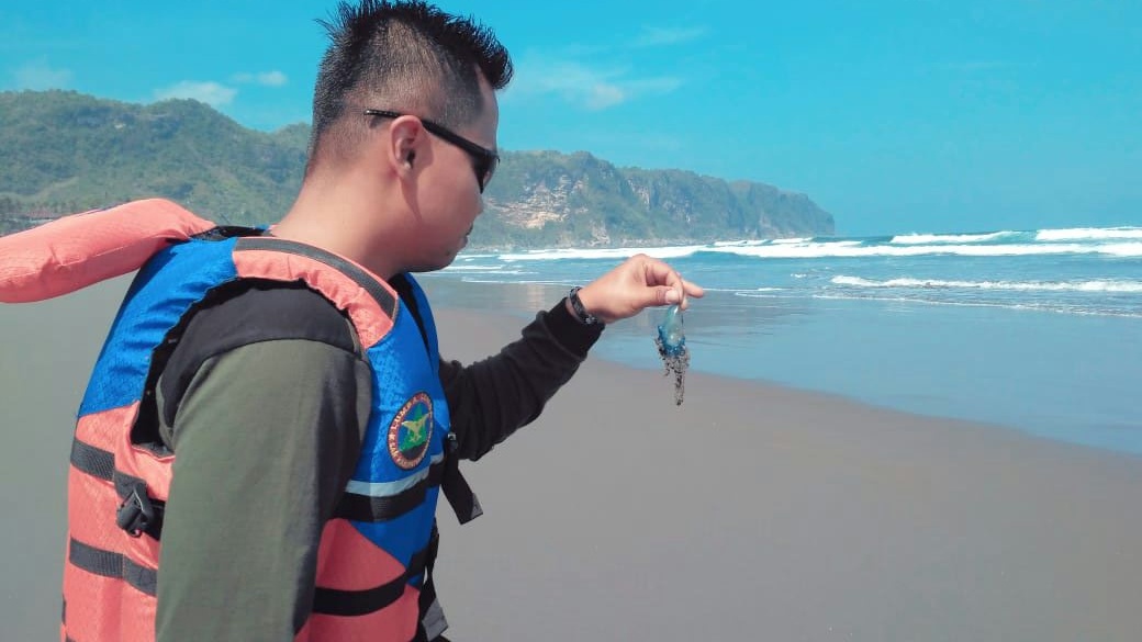 Waspada Serangan Ubur-ubur di Pantai Bantul dan Gunungkidul