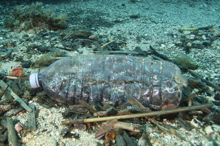 Mediterranean Could Become a 'Sea of Plastic': WWF