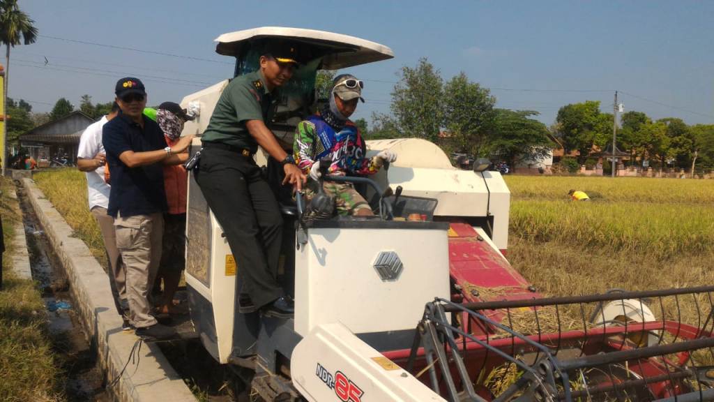 Kementan Tetap Serap Gabah Petani saat Libur Panjang