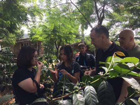 150 Ribu Bibit Kopi untuk Petani Sumatera