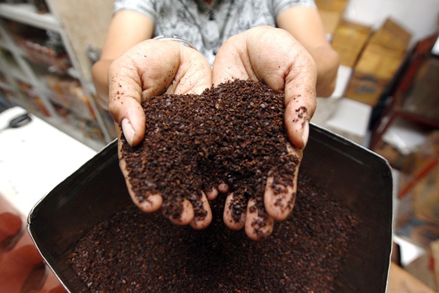Ampas kopi bisa dipakai bersih-bersih