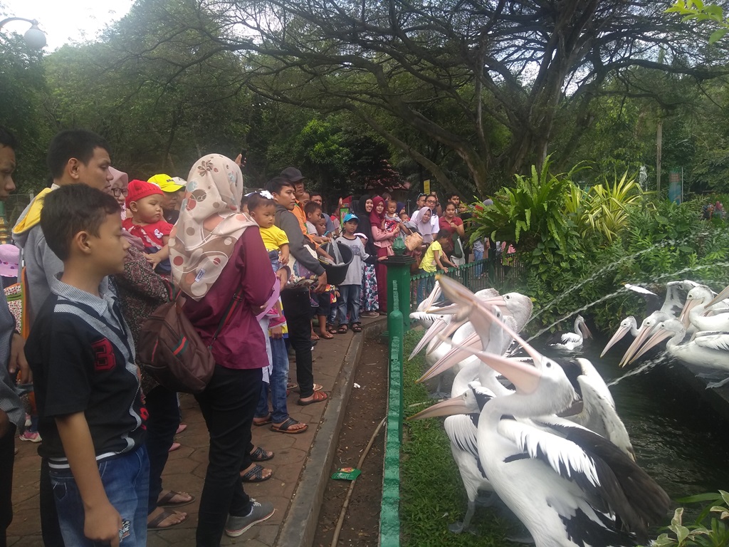 Libur Pilkada, Pengunjung Ragunan Turun 50%