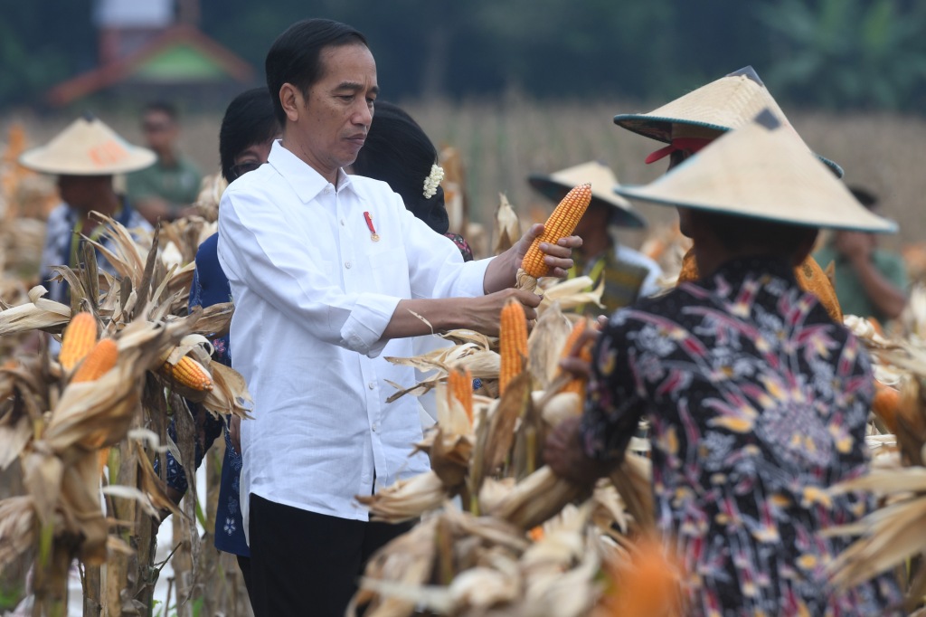 Jokowi: Pangan Urusan Masa Depan