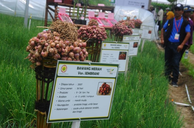 HKTI Dorong Modernisasi Genjot Kesejahteraan Petani
