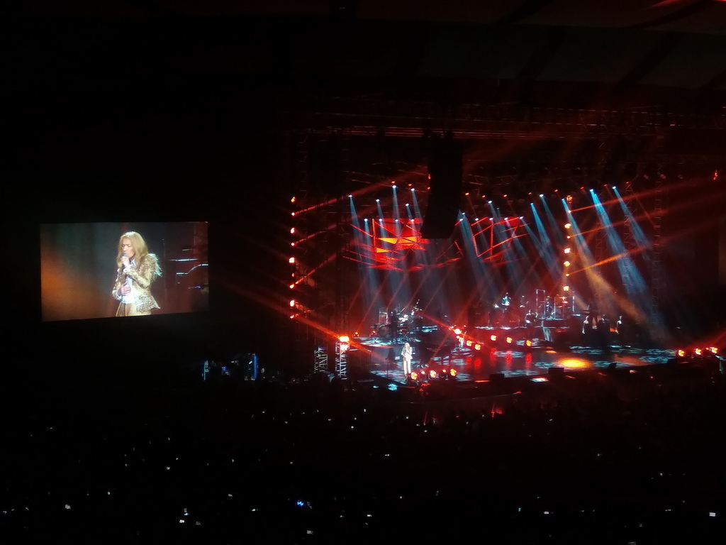 Konser di Indonesia, Celine Dion Mengharapkan Kedatangan Pink