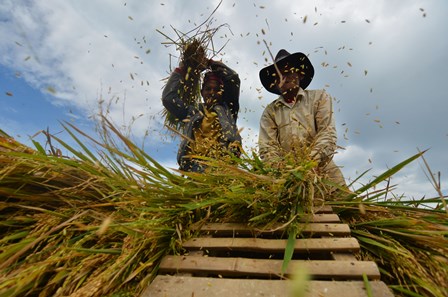 Kesejahteraan Petani di Kalbar Perlu Ditingkatkan