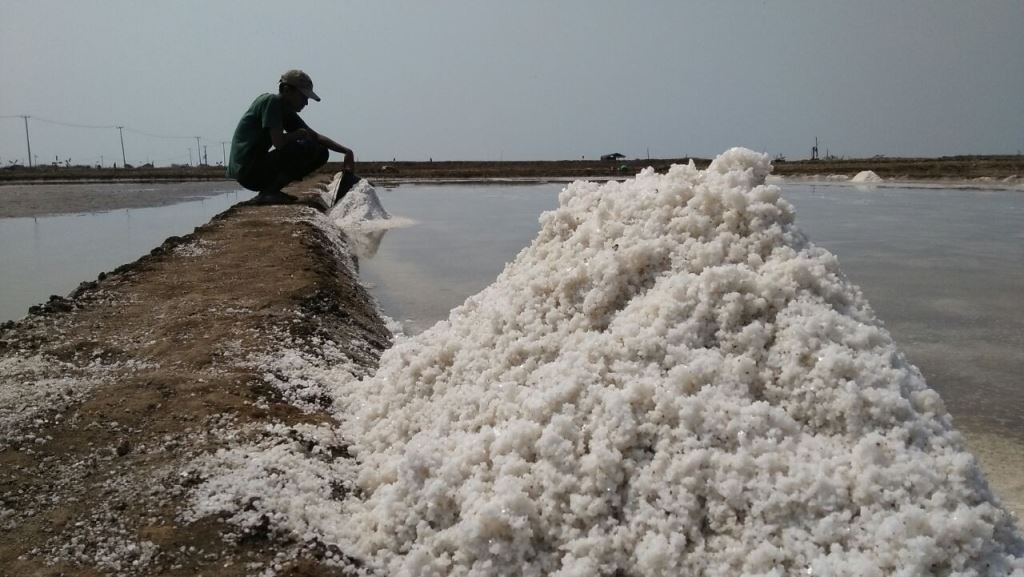 Baru Panen, Harga Garam di Cirebon Merosot